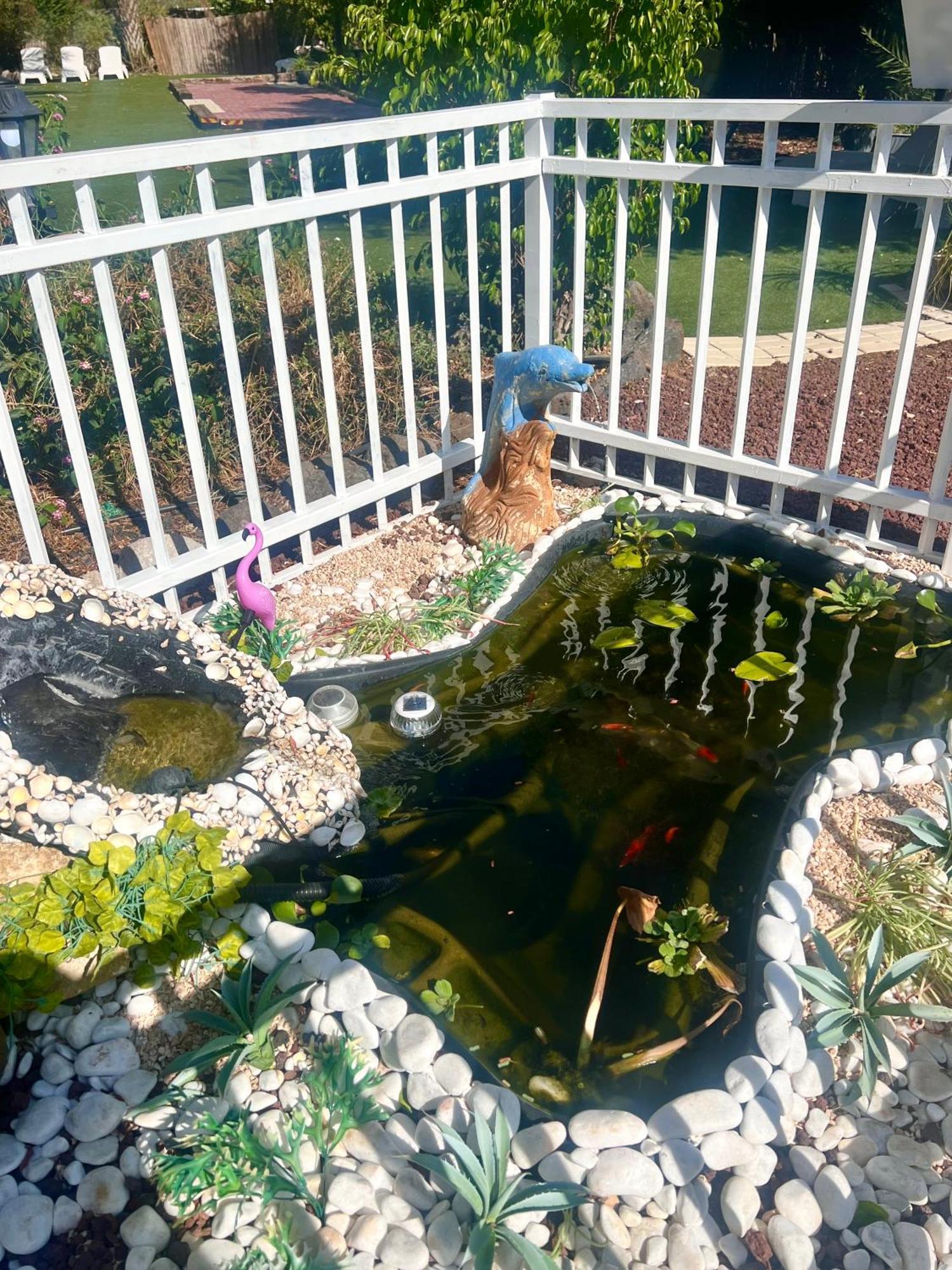 Motel Magical In The Galilee Kirjat Schmona Exterior foto